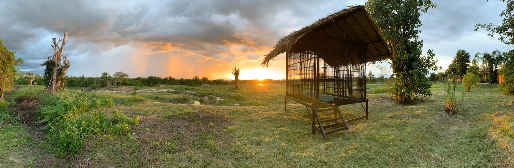 Blog artikel 'De Nederlander Edwin Wiek van Wildlife Foundation zit opgesloten'