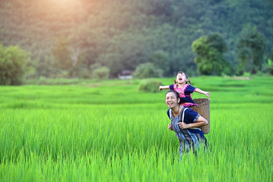 Gerelateerde tour 15-daagse rondreis Dwars door Vietnam (via Sapa)