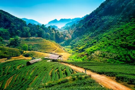 Gerelateerde tour 5-daagse bouwsteen Noord-Thailand