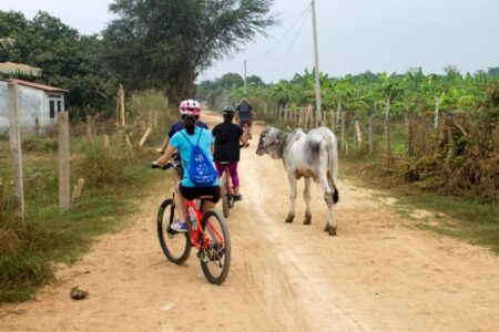 Gerelateerde tour Fietstour Mekong Islands