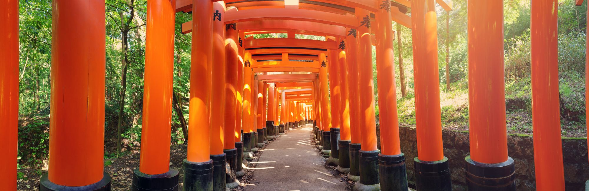 Blog artikel 'Uitgebreide landeninformatie Japan'