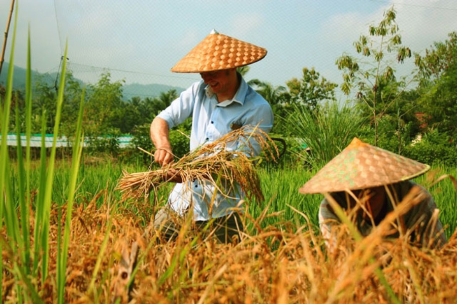Laos Luang Prabang Living Land Farm