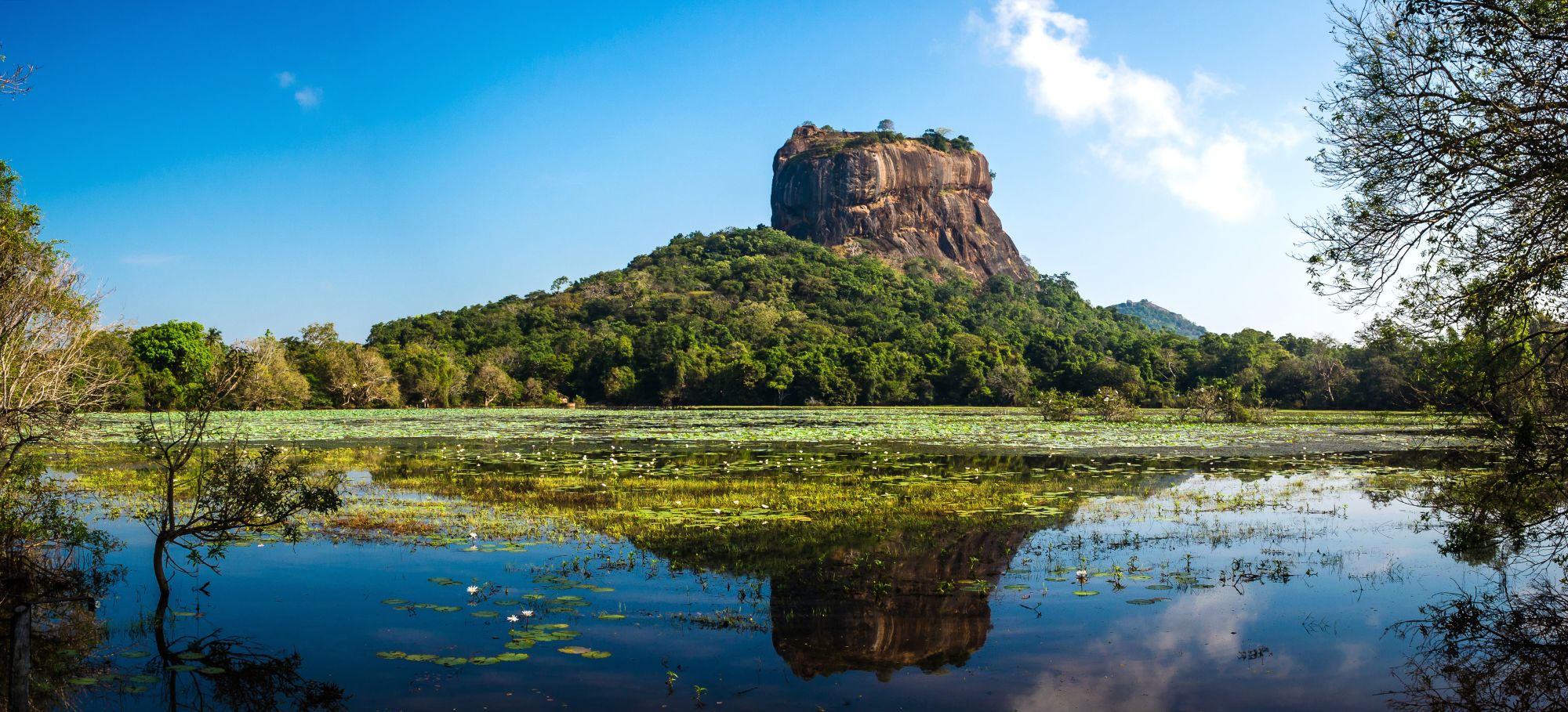 Sri Lanka Sigiriya leeuwenrots
