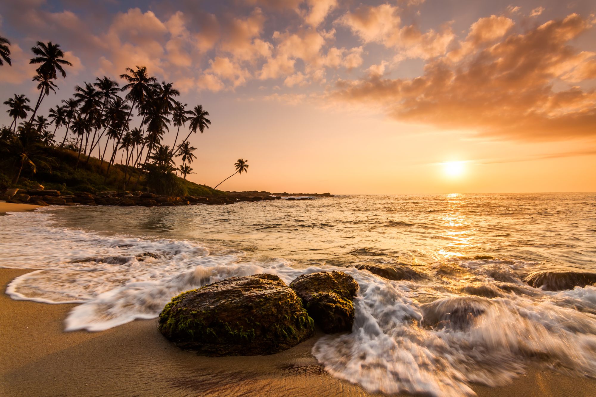 Blog artikel 'Beste reistijd Sri Lanka'