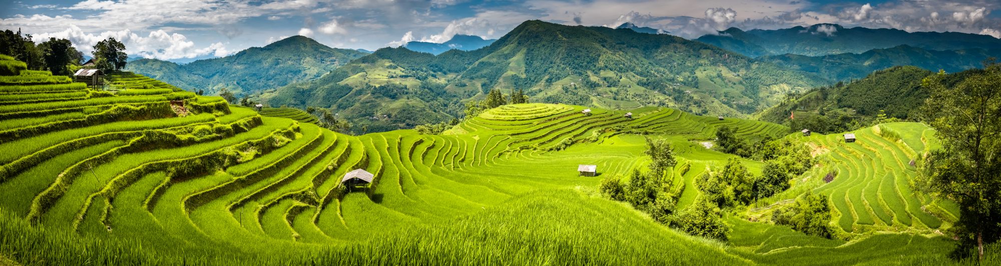 Blog artikel 'Op ontdekkingstocht door Vietnam: een rondreis vol hoogtepunten en lokale ervaringen'