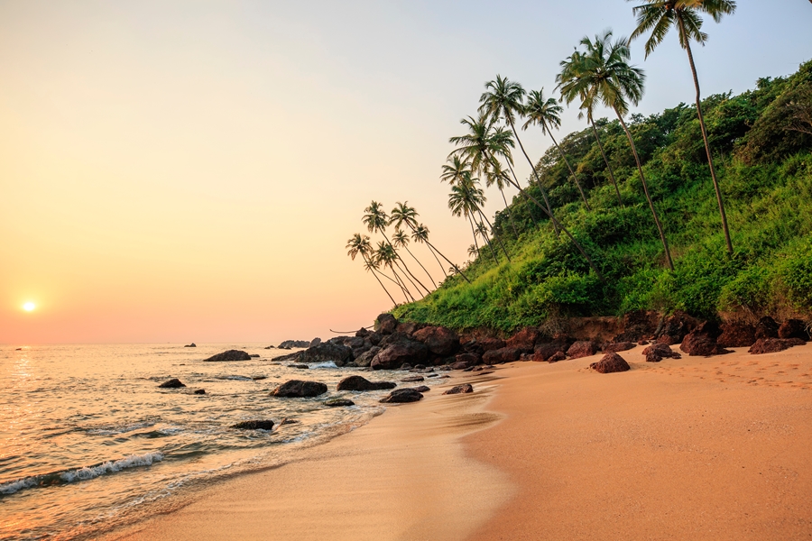 Dag 14: Goa