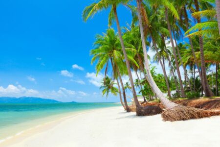 Gerelateerde tour 16-daagse rondreis Thailand Tropisch Eilandhoppen