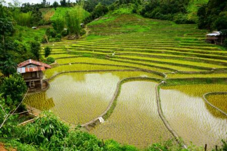 Gerelateerde tour 21-daagse rondreis met chauffeur Noord-Thailand via Pai