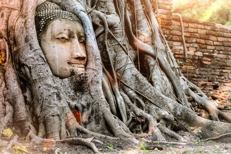 Thailand Ayutthaya Buddh