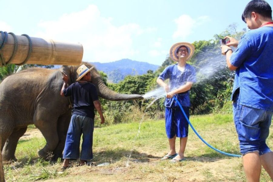 Thailand Chiang Mai Olifanten trainer voor 1 dag 01 768x512 1