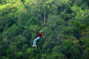 Zipline Chiang Mai (36 Platforms, 16 Ziplines)
