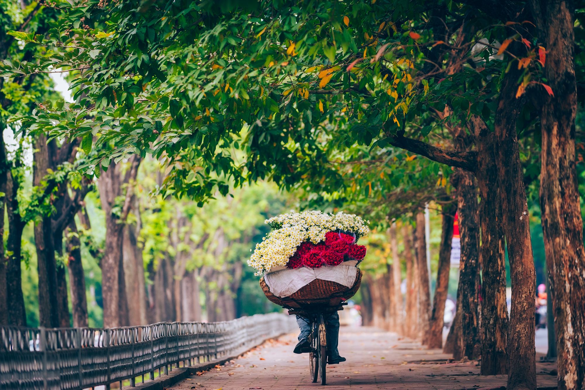 Blog artikel 'Wat te doen in Hanoi?'